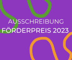 PDF der Ausschreibung