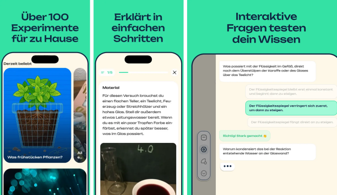 intoMINT_Smartphone_Bildschirme